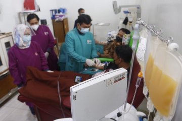 PMI Kota Tangerang sudah salurkan 250 kantong darah plasma konvalesen