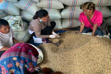 AEKI : Harga kopi dalam negeri bertahan stabil