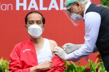 Presiden Jokowi hingga Raffi Ahmad tak rasakan sakit saat divaksin