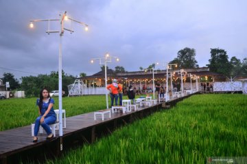 Restoran kekinian di tengah sawah