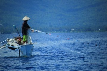 Regenerasi di sektor perikanan via kemudahan pendidikan anak nelayan