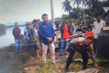 Seekor buaya panjang empat meter ditangkap di Pasaman Barat