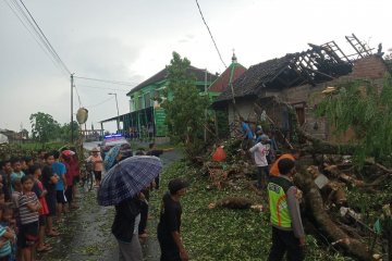 Sejumlah pohon di Blitar tumbang akibat angin kencang