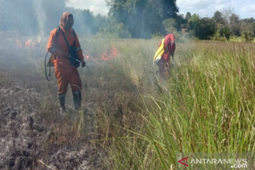 Padang savana 4,5 hektare Taman Nasional Rawa Aopa Watumihao terbakar
