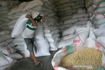 Kemendag: Stok kedelai cukup penuhi kebutuhan nasional