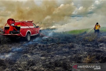 Karhutla di Taman Nasional Kabupaten Bombana