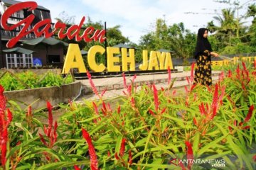 Perawatan Taman Bunga Di Aceh Jaya