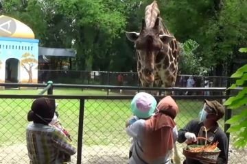 Mensos Risma liburan bersama cucu di Kebun Binatang Surabaya