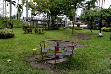 Padang segera miliki pohon buah di ruang terbuka