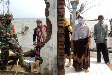 Abrasi pantai rusak puluhan rumah warga di Pekalongan