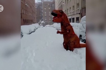 Ada “dinosaurus” yang bermain di belantara salju di Madrid