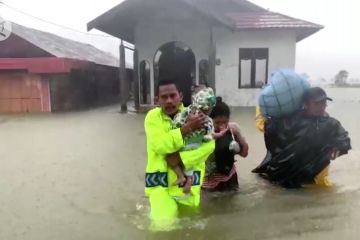 Banjir Kalsel meluas, 19.452 rumah  terendam