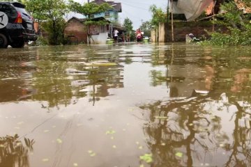 BPBD Kota Pekalongan sebut 3 penyebab banjir belum surut