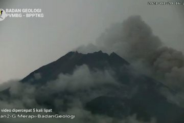 Gunung Merapi luncurkan awan panas 8 kali