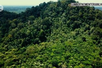 Perlindungan lingkungan hidup bagian dari pemulihan ekonomi nasional