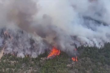 Kebakaran hutan berkecamuk di Argentina selatan