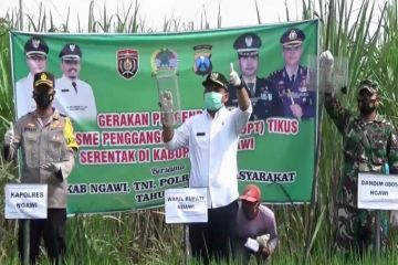 Pemkab Ngawi bersama petani gelar Gropyokan