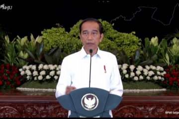 Presiden: RI berpotensi kembangkan produk ekonomi hijau