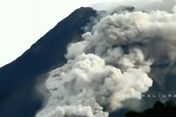 Gunung Merapi luncurkan 36 kali awan panas