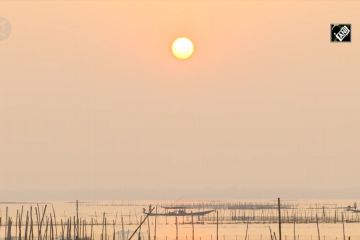 Danau Chilika jadi tujuan favorit Lumba-lumba Irrawaddy yang langka