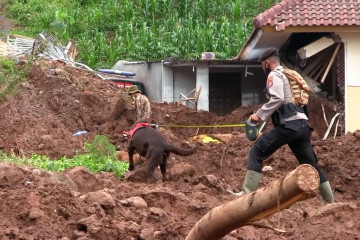Longsor Sumedang, tim SAR libatkan anjing pelacak untuk cari korban hilang