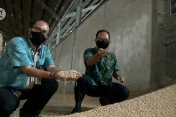 Disperindag Banten sidak gudang penyimpanan kedelai