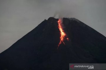 Gunung Merapi meluncurkan guguran lava pijar 1.000 meter