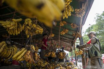 Pembongkaran Bangunan Liar