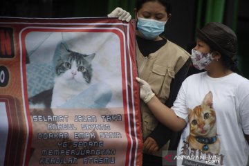 Pecinta satwa mengutuk penyembelihan kucing Tayo di Medan