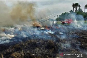 Karhutla Di Taman Nasional Kabupaten Bombana