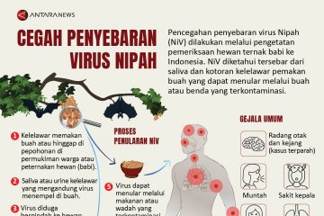 Cegah penyebaran virus Nipah