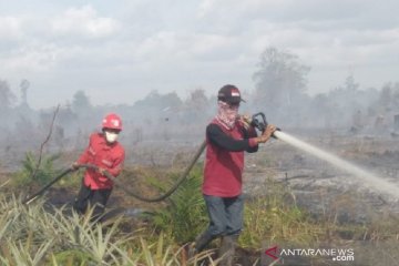 Kebakaran hutan terjadi di dekat konsesi Sinarmas Siak