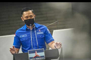 Organisasi sayap Demokrat minta jangan ganggu AHY