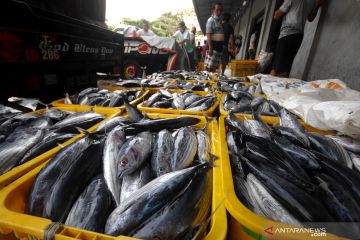 HARGA IKAN MELONJAK DAMPAK CUACA BURUK