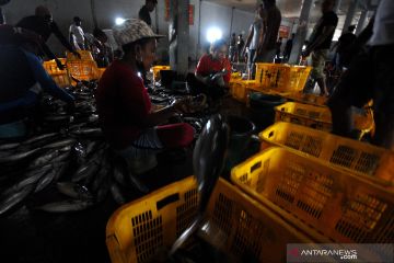 HARGA IKAN MELONJAK DAMPAK CUACA BURUK