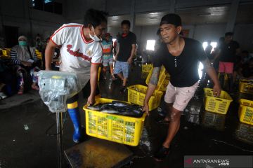 HARGA IKAN MELONJAK DAMPAK CUACA BURUK