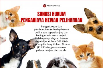 Sanksi hukum penganiaya hewan peliharaan