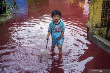 Banjir air merah di Pekalongan