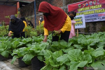 Satgas COVID-19: Keluarga tangguh kunci kesehatan jiwa