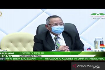 Komisi IV sayangkan pemotongan anggaran Kementan sangat besar sekali