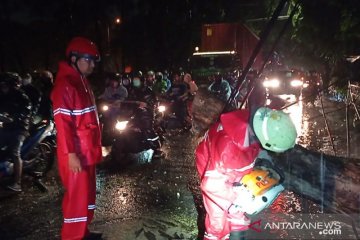 Damkar Jakarta Barat evakuasi pohon tumbang di Ring Road Kamal