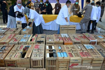 Pemusnahan ayam selundupan asal Thailand