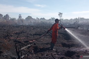 Kebakaran lahan kelapa sawit di Agam-Sumbar meluas jadi 15 hektare
