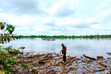 Kemunculan buaya di Sungai Mentaya ditelusuri BKSDA Kalteng