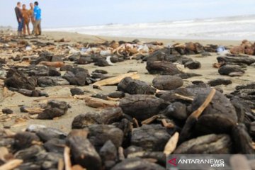 Pemkab Aceh Barat telusuri pencemaran lingkungan terkait batu bara