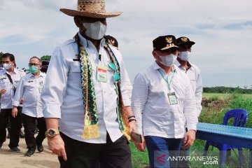 Mentan sebut Food Estate di Kalteng berjalan baik