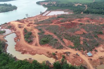 WALHI: Tindak tegas perusahaan abaikan reklamasi pascatambang