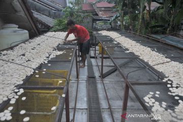 Produksi kerupuk kemplang menurun akibat musim hujan