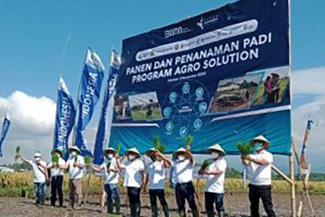 Pupuk Indonesia jaga Agro Solution melalui penyemprotan hama di Jember
