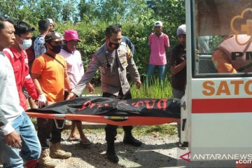 BKSDA duga warga Agam meninggal di Sungai Masang diserang buaya muara